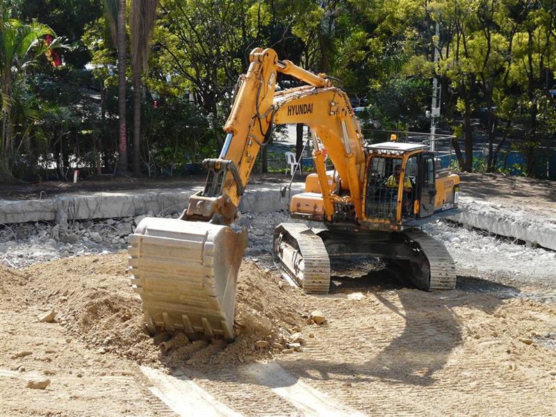 P1250051 (Medium) (Custom).jpg