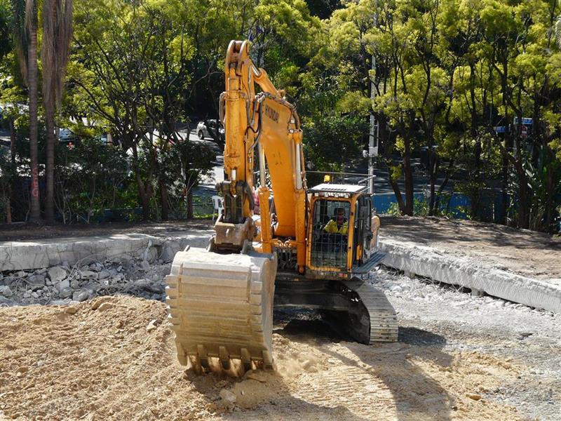 P1250052 (Medium) (Custom).jpg