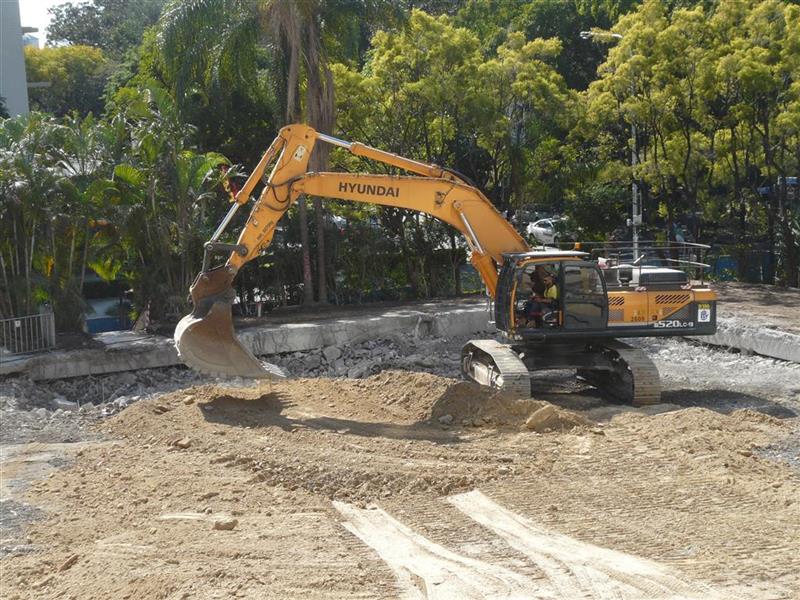 P1250055 (Medium) (Custom).jpg