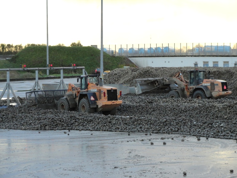 Bartels 921 C (6).jpg